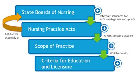 nurse practice act quizlet